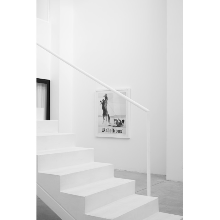 Rebellious Limited Edition Print