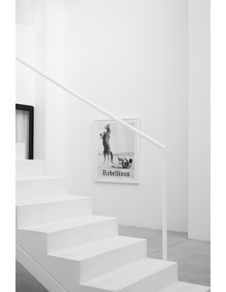 Rebellious Limited Edition Print